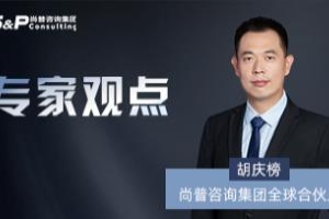 咨询应对尽调风险和难点的策略与实践